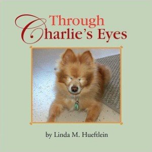 51lBb5AGD2L._SY498_BO1,204,203,200_